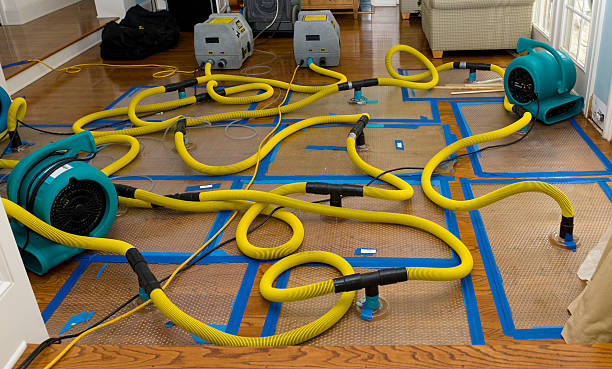 Professional Sewage Cleanup technician working in Chesapeake, WV