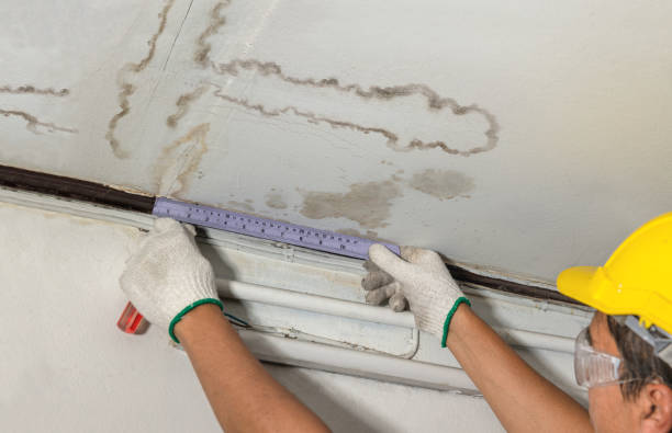 Affordable Water Damage Repair solutions in Chesapeake, WV
